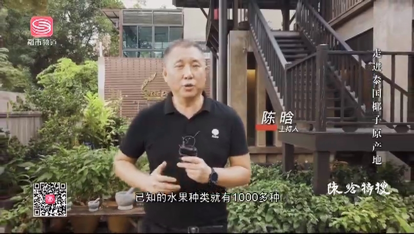 第一现场_陈晗特搜 走进泰国椰子原产地